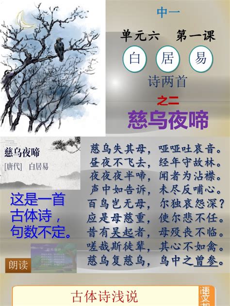 慈烏夜啼有幾組對句|慈乌夜啼